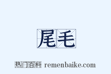 尾毛是什么意思的图片